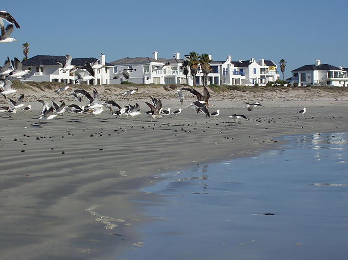 Shelley Shores