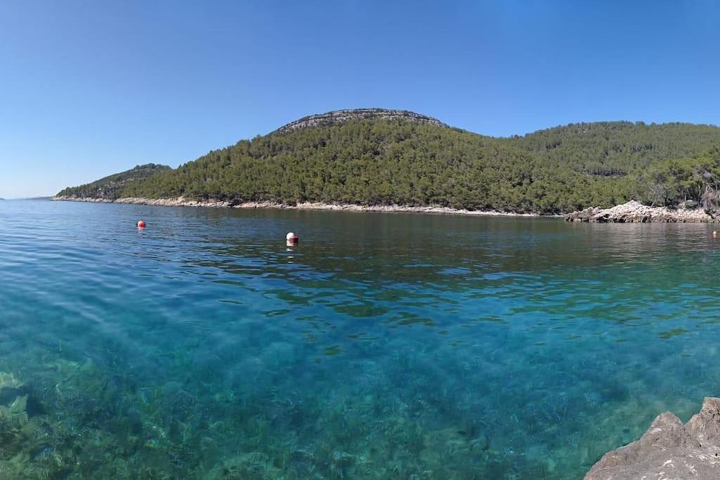 Holiday house Ivko - Korcula