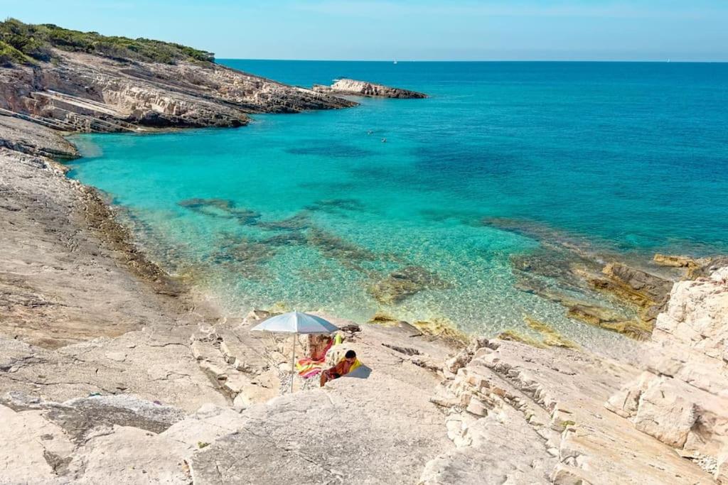 Photo 48