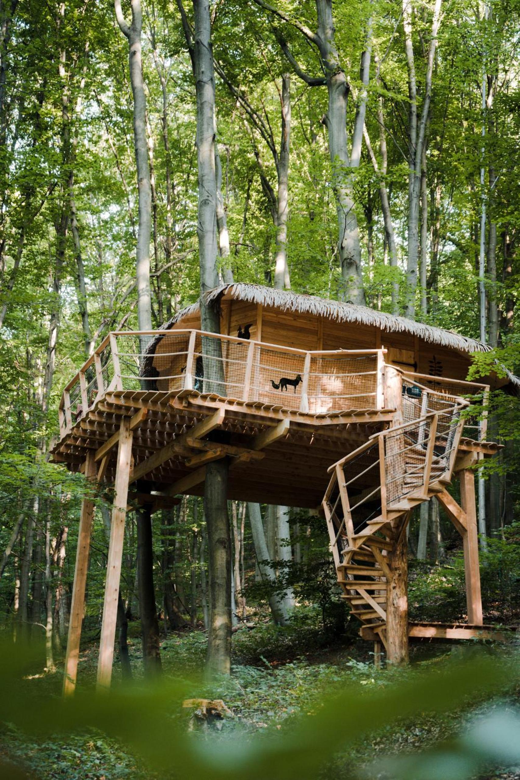 Treehouse Trenčianske Teplice