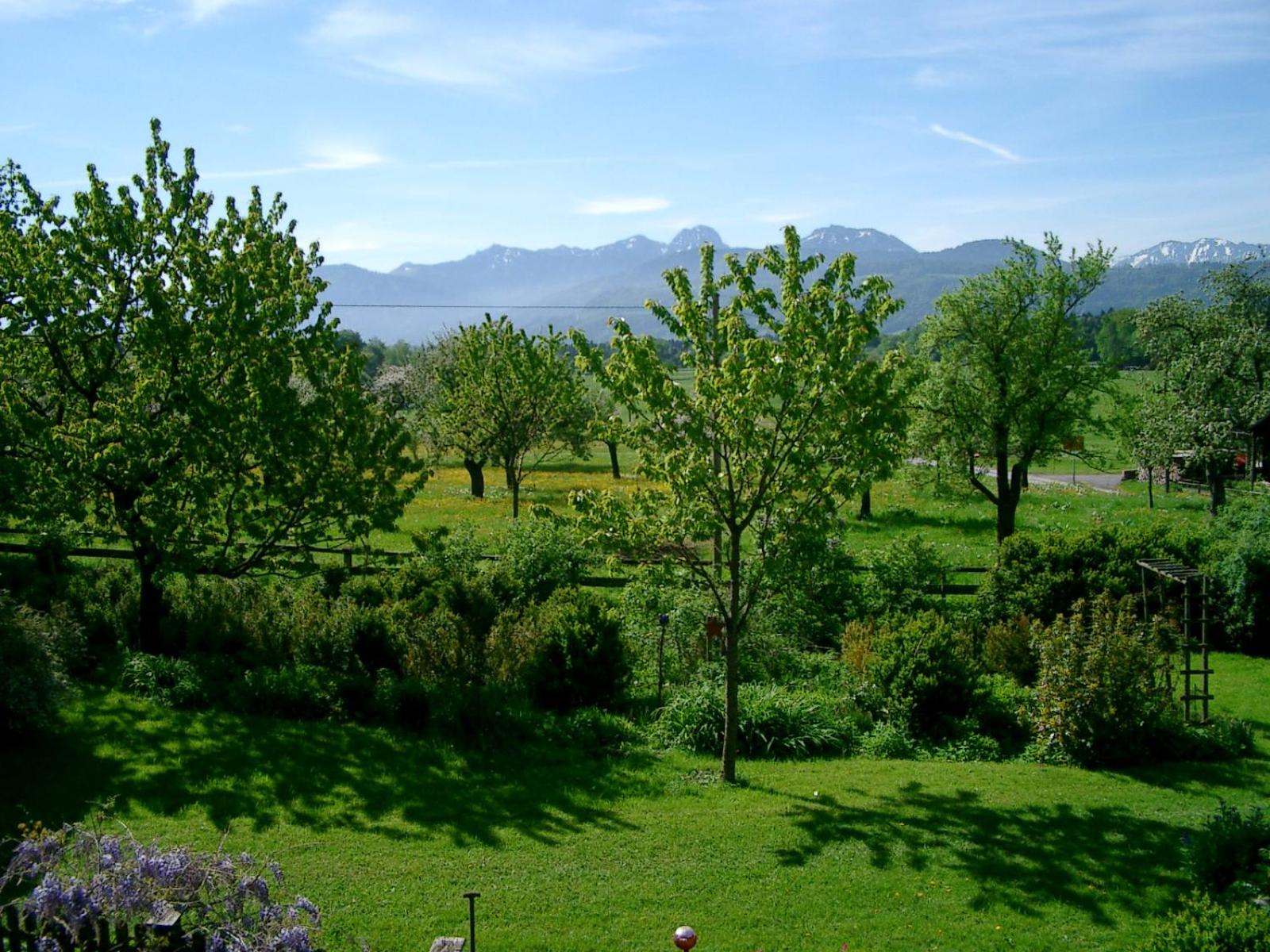 Ferienwohnungen 