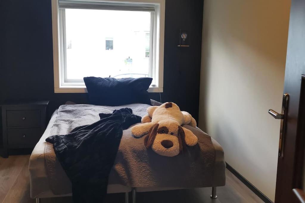 Koselig leilighet nær sentrum