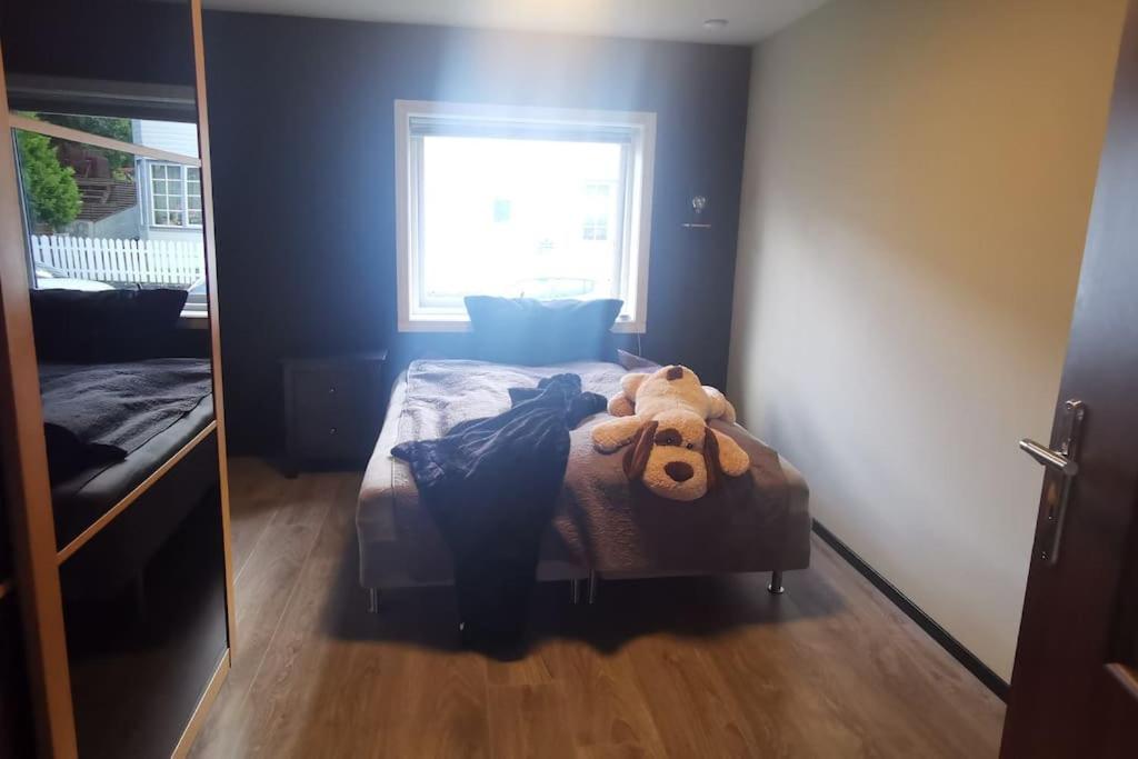 Koselig leilighet nær sentrum