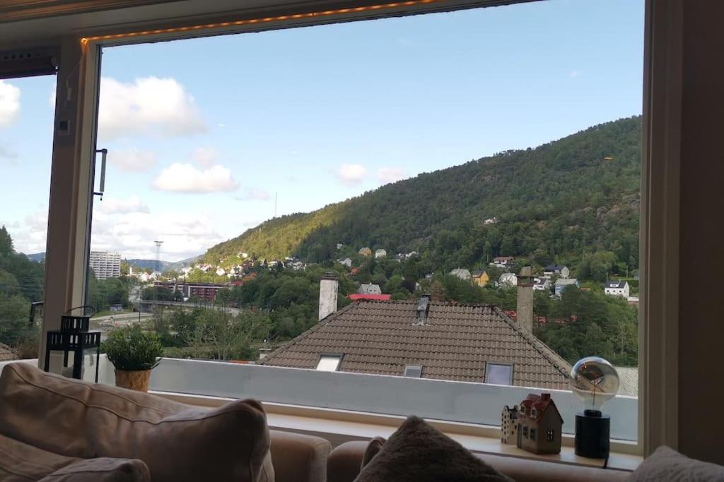 Koselig leilighet nær sentrum