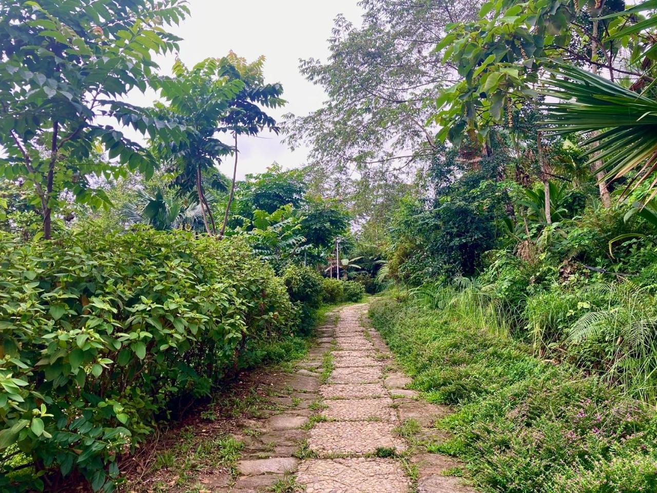 TV Palm Ecolodge Ha Giang