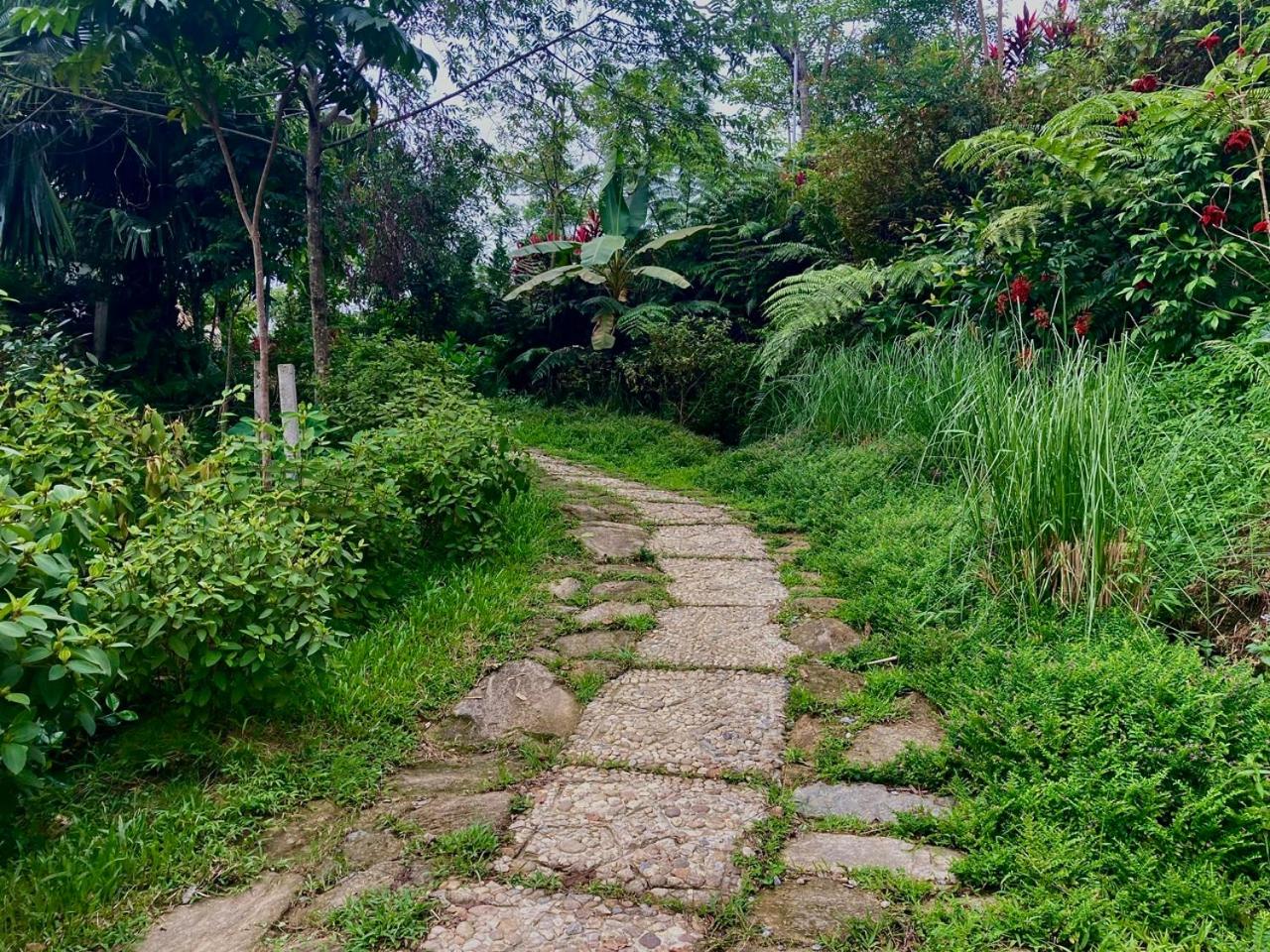 TV Palm Ecolodge Ha Giang