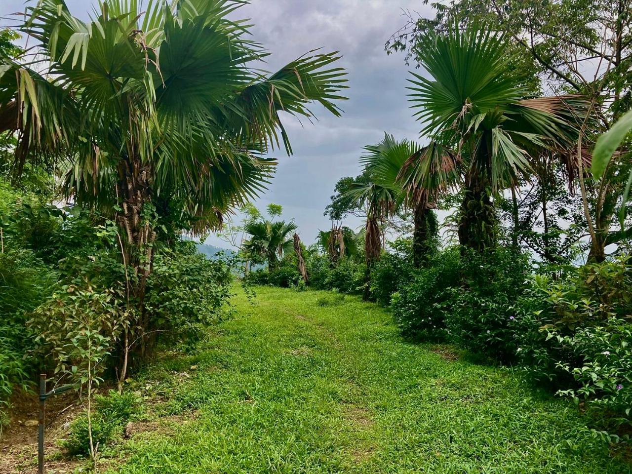 TV Palm Ecolodge Ha Giang