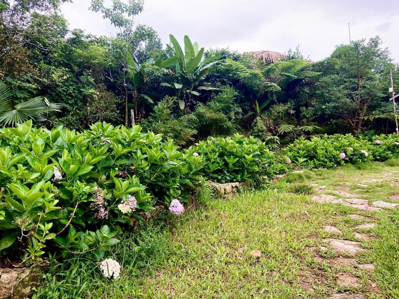 TV Palm Ecolodge Ha Giang