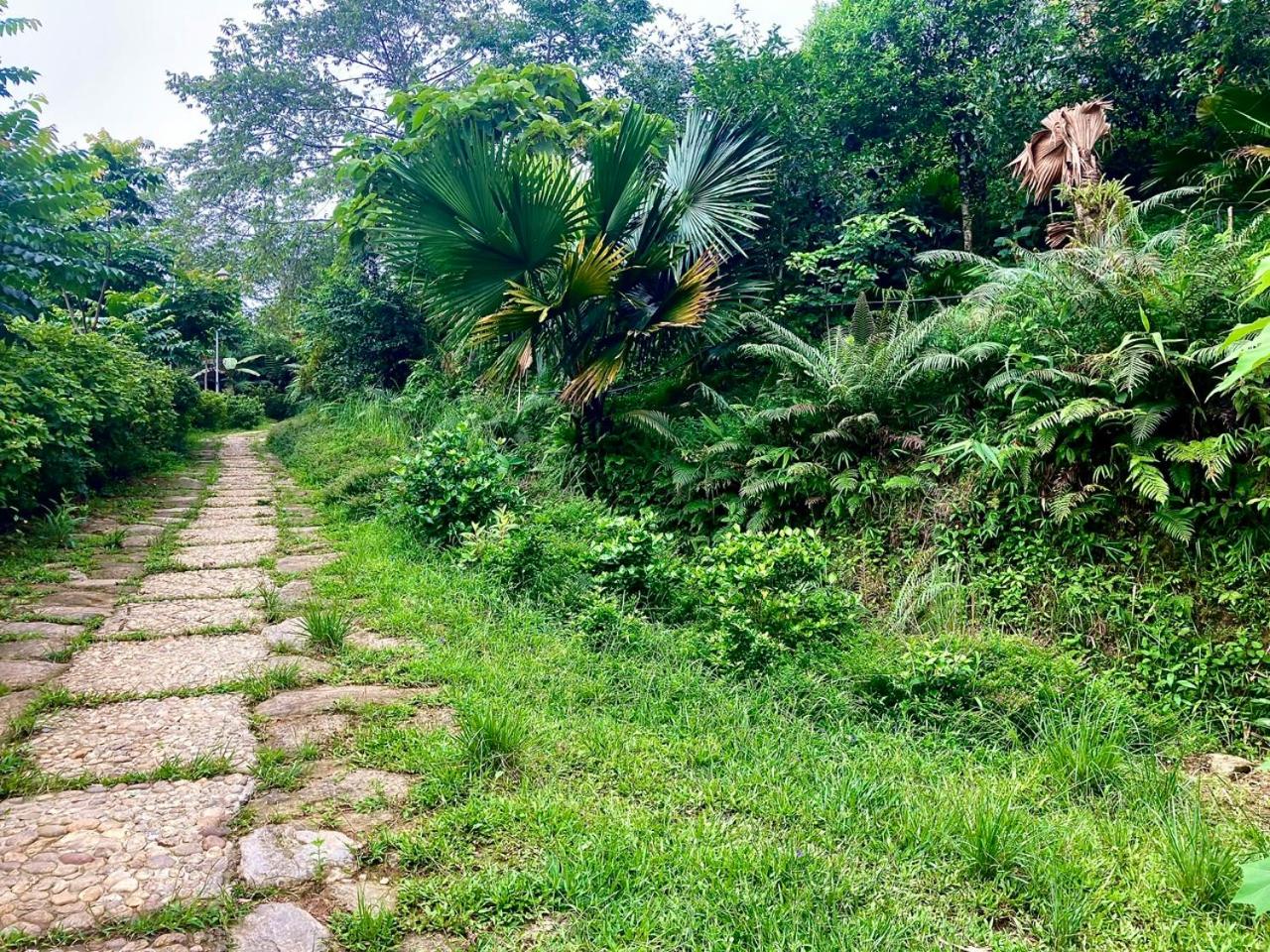 TV Palm Ecolodge Ha Giang