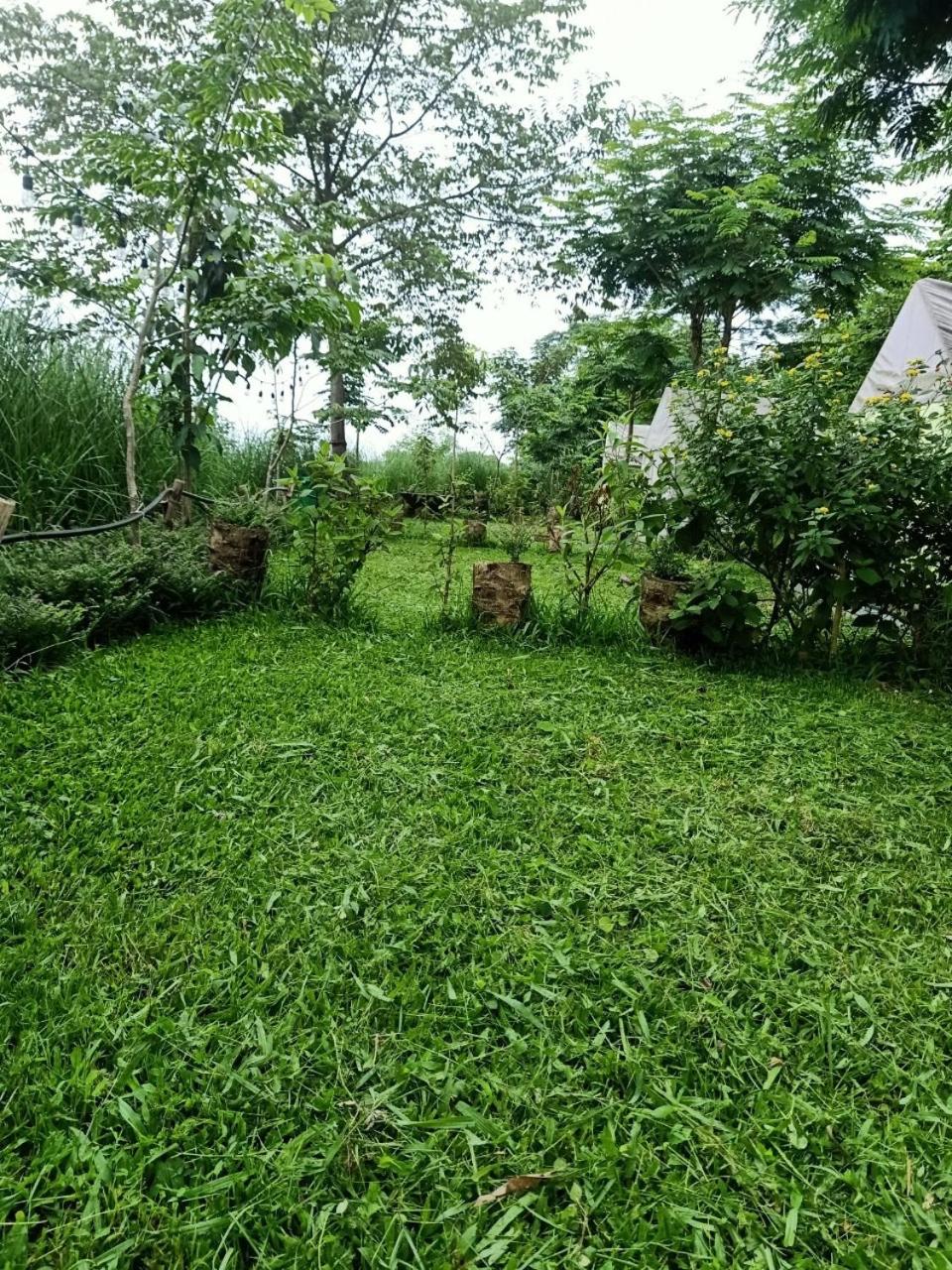 TV Palm Ecolodge Ha Giang