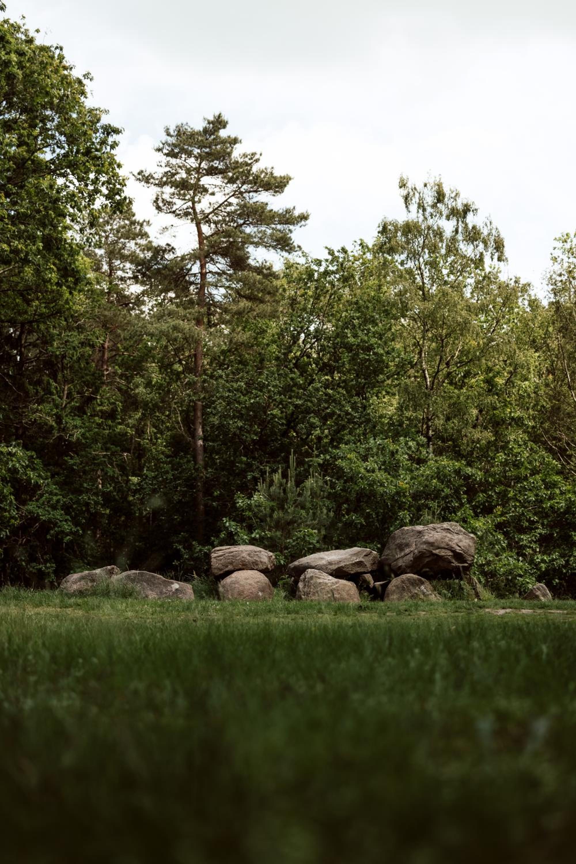 Comfortabel 2- persoons vakantiehuis nabij bos in Drenthe