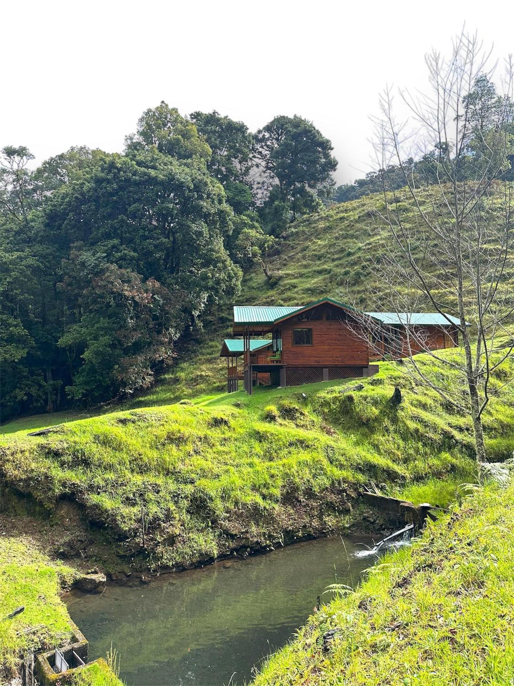 Entre Árboles Lodge