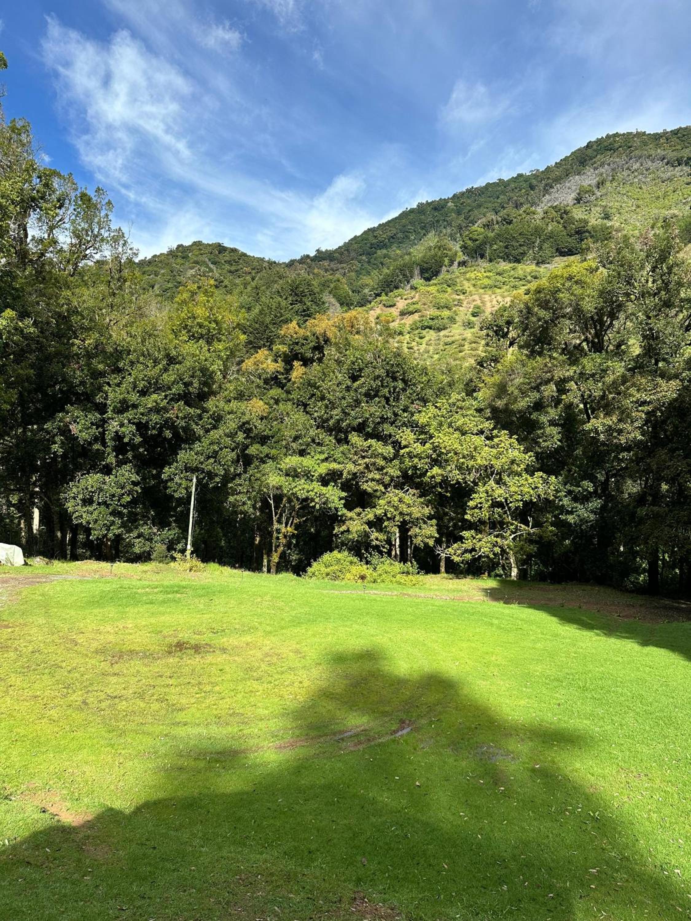 Entre Árboles Lodge