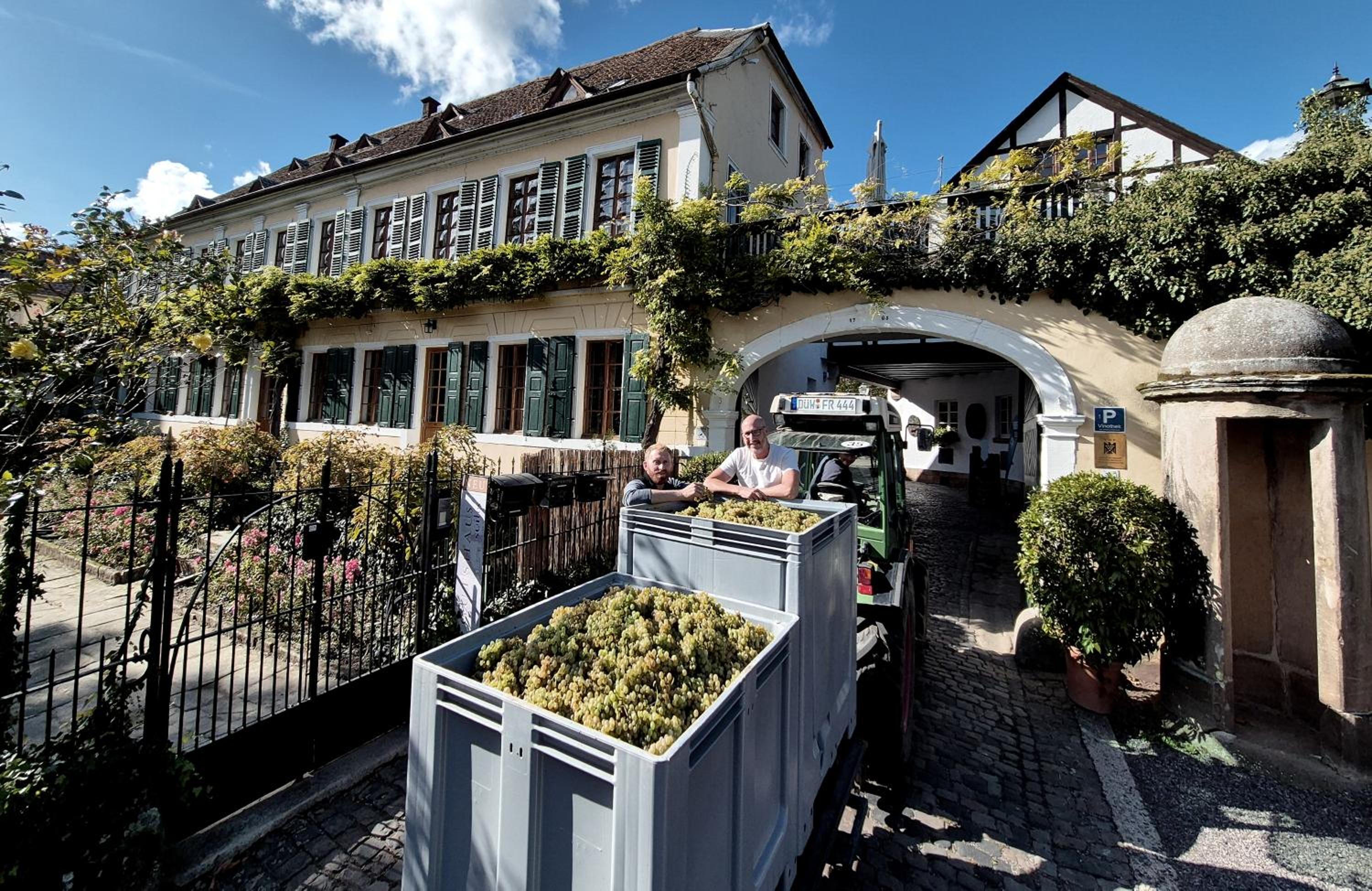 Unterkunft im Weingut Fitz-Ritter