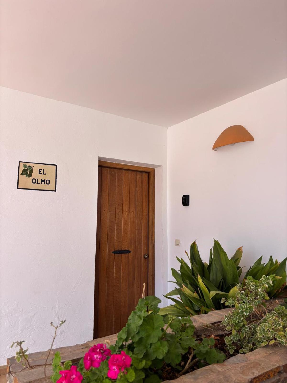 Photo 36