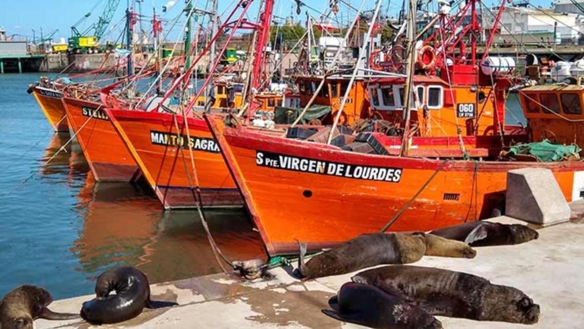 Alquiler mar del plata