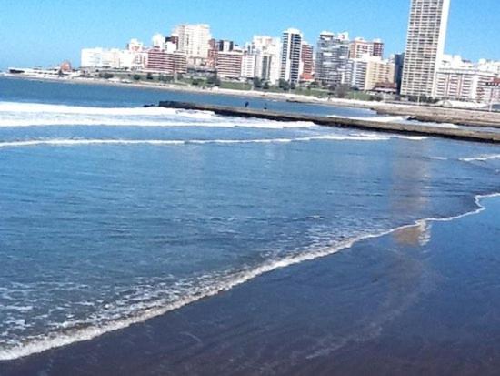 Alquiler mar del plata