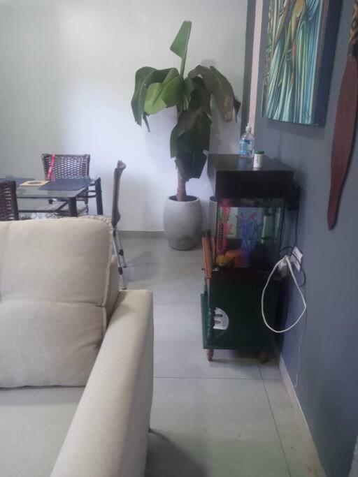 Casa de praia inapropriada