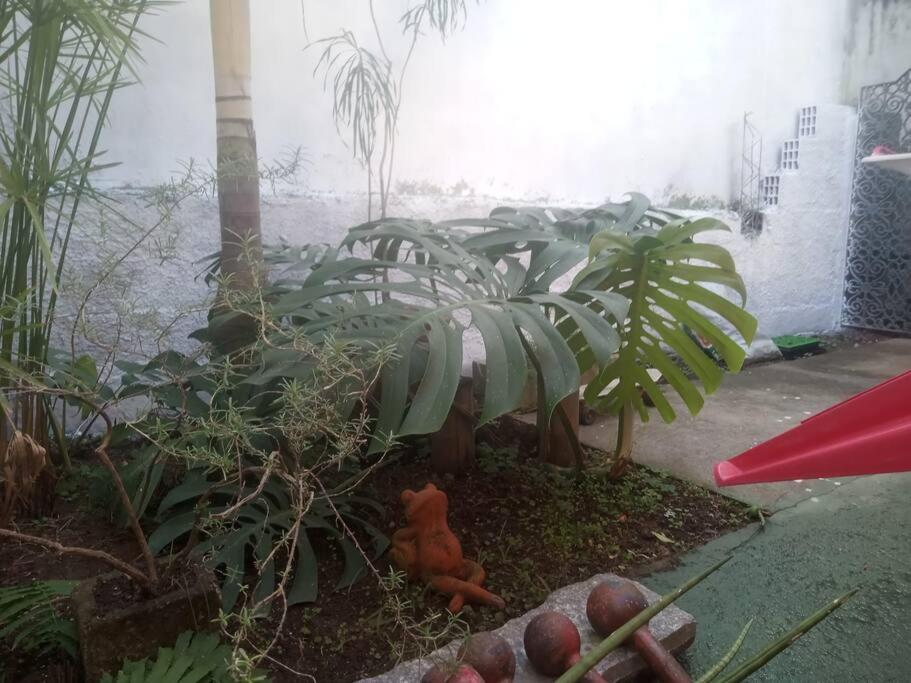Casa de praia inapropriada