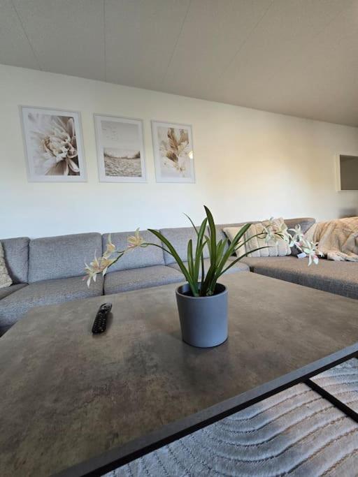 Modern and complete House view 4