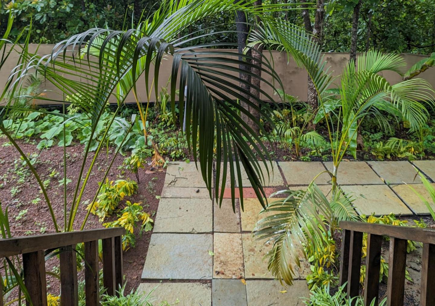 Photo 43