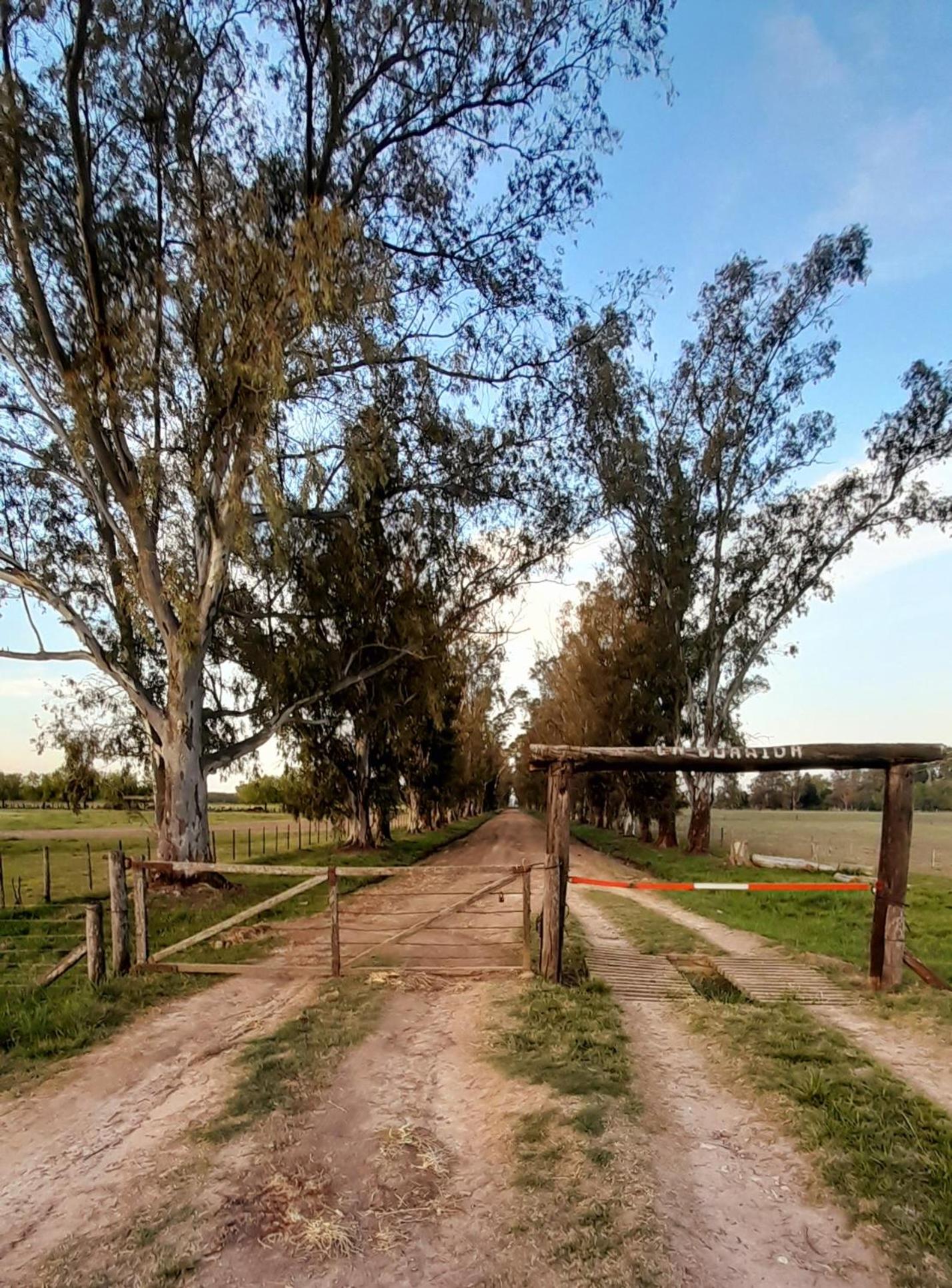 La Guarida Lobos
