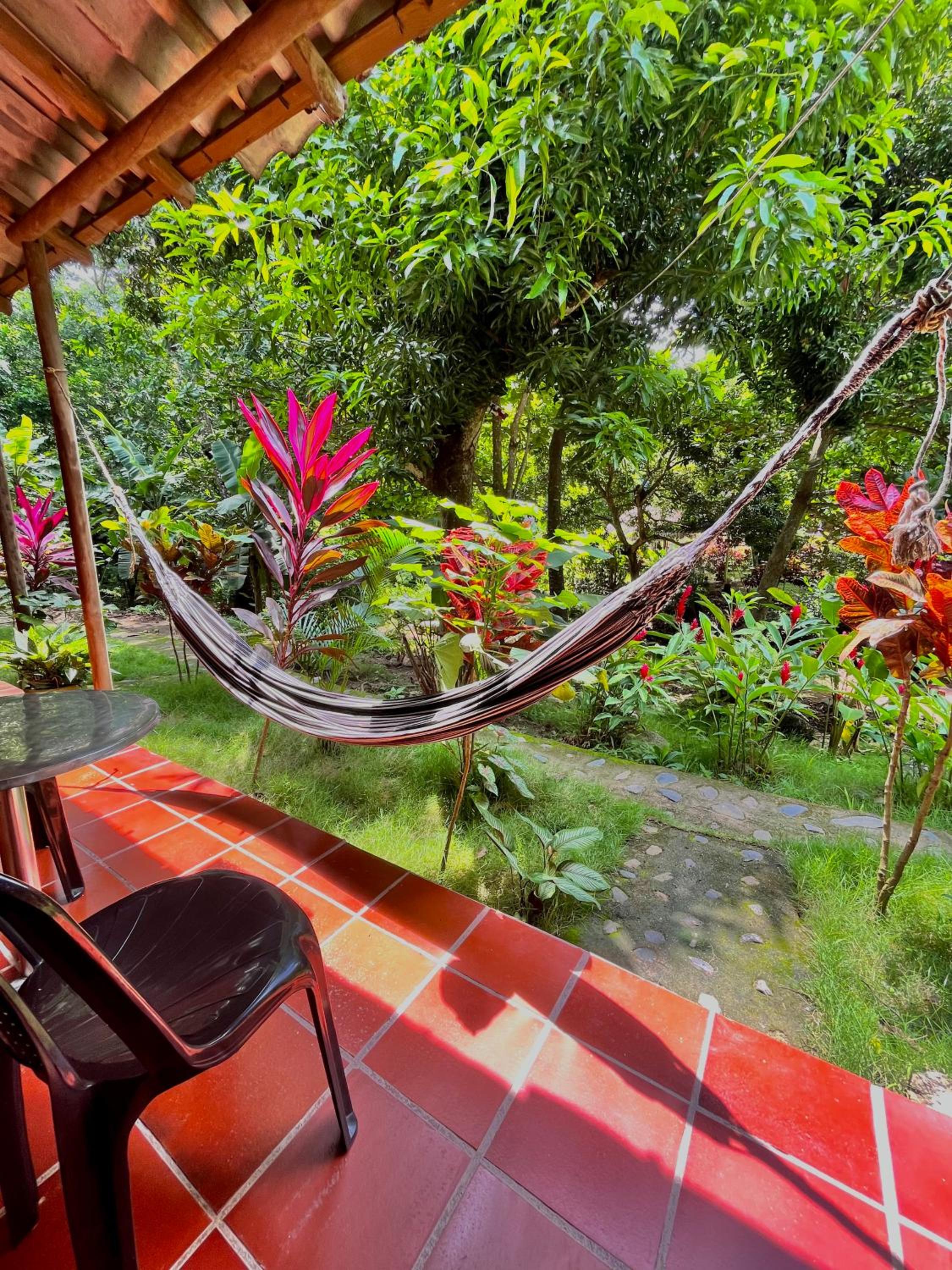 Santuario Tayrona Hostel