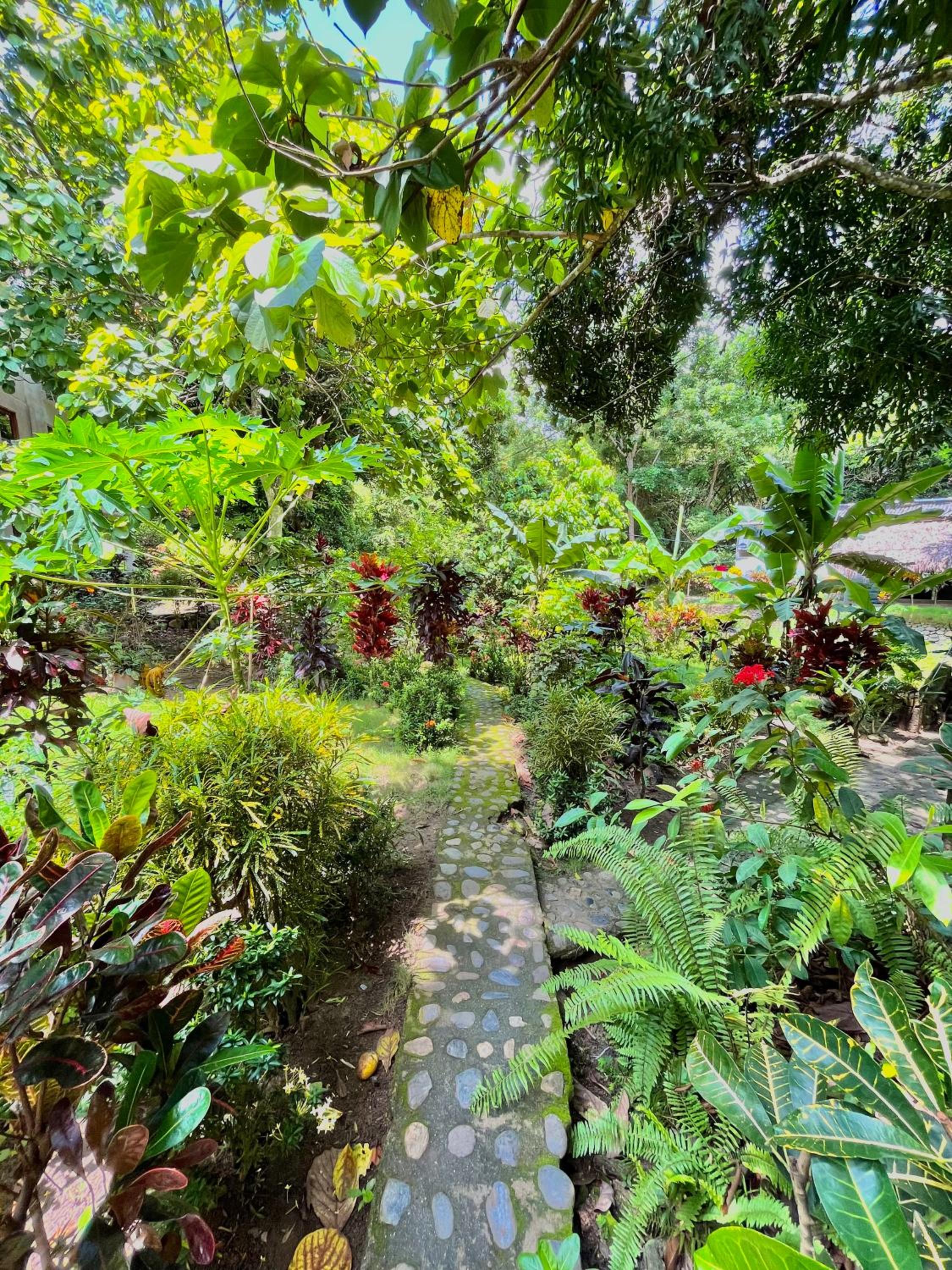 Santuario Tayrona Hostel