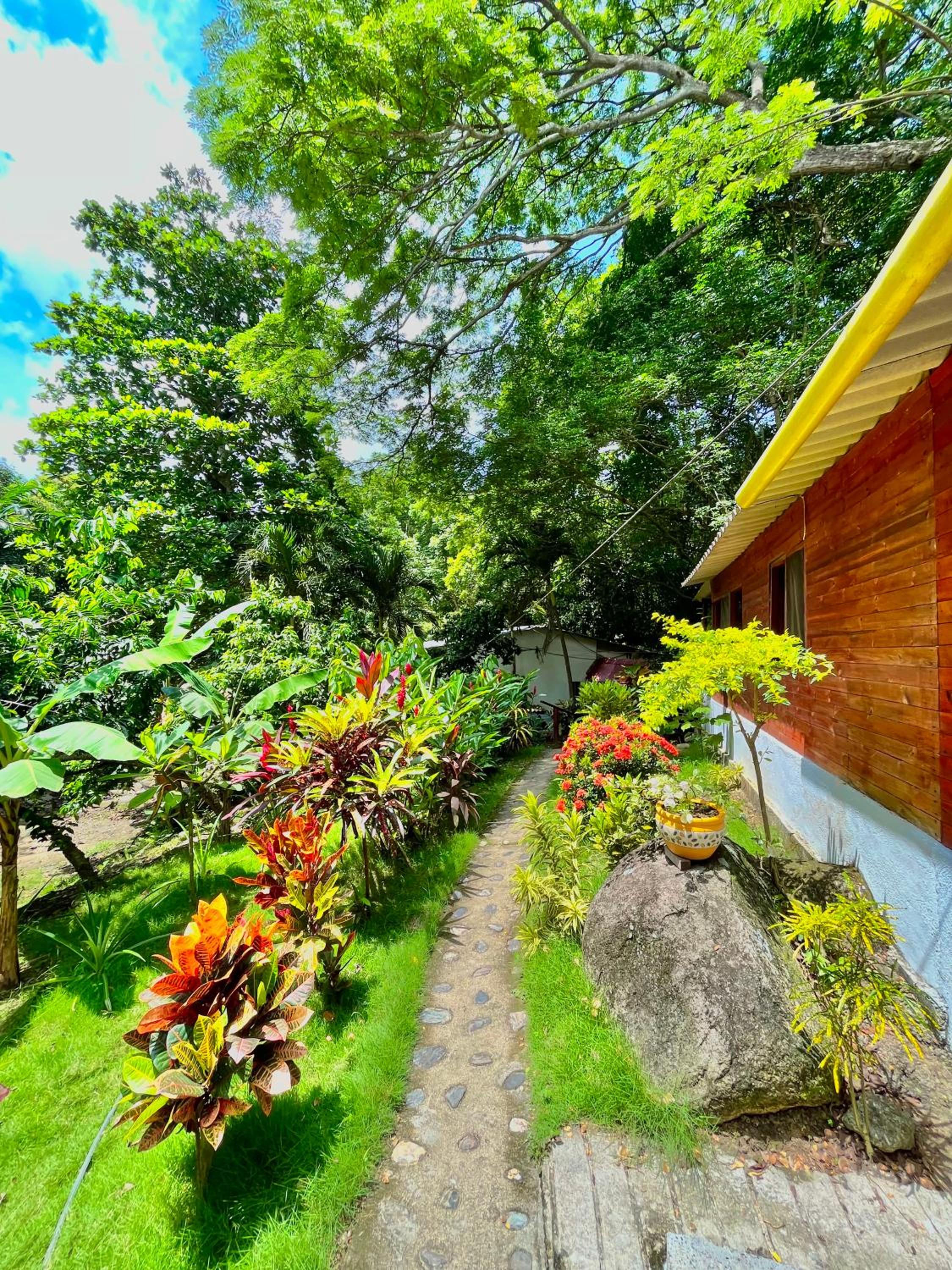 Santuario Tayrona Hostel
