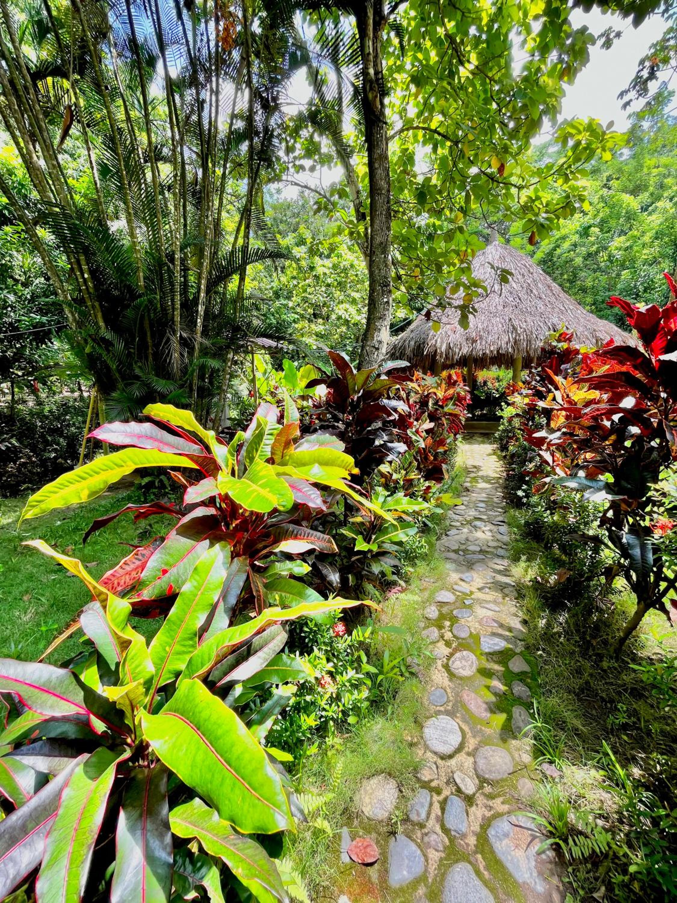Santuario Tayrona Hostel
