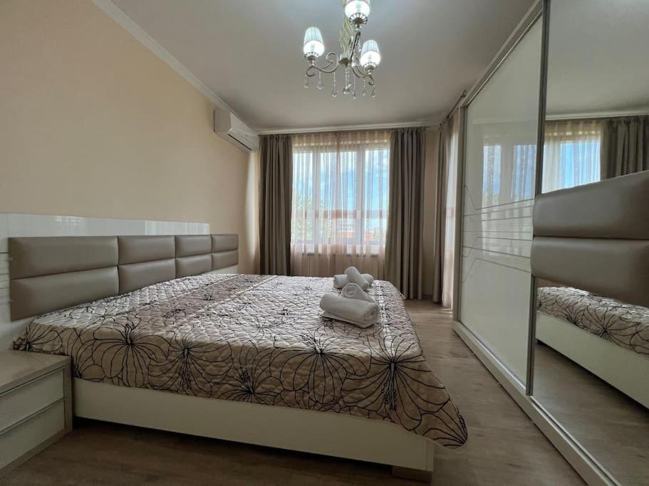 Cozy apartment - free parking