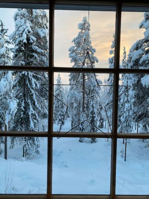 Rakkahovi in Levi Lapland
