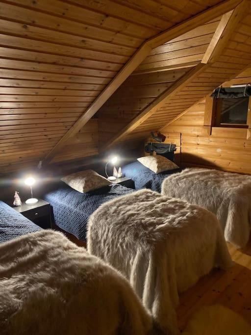 Rakkahovi in Levi Lapland