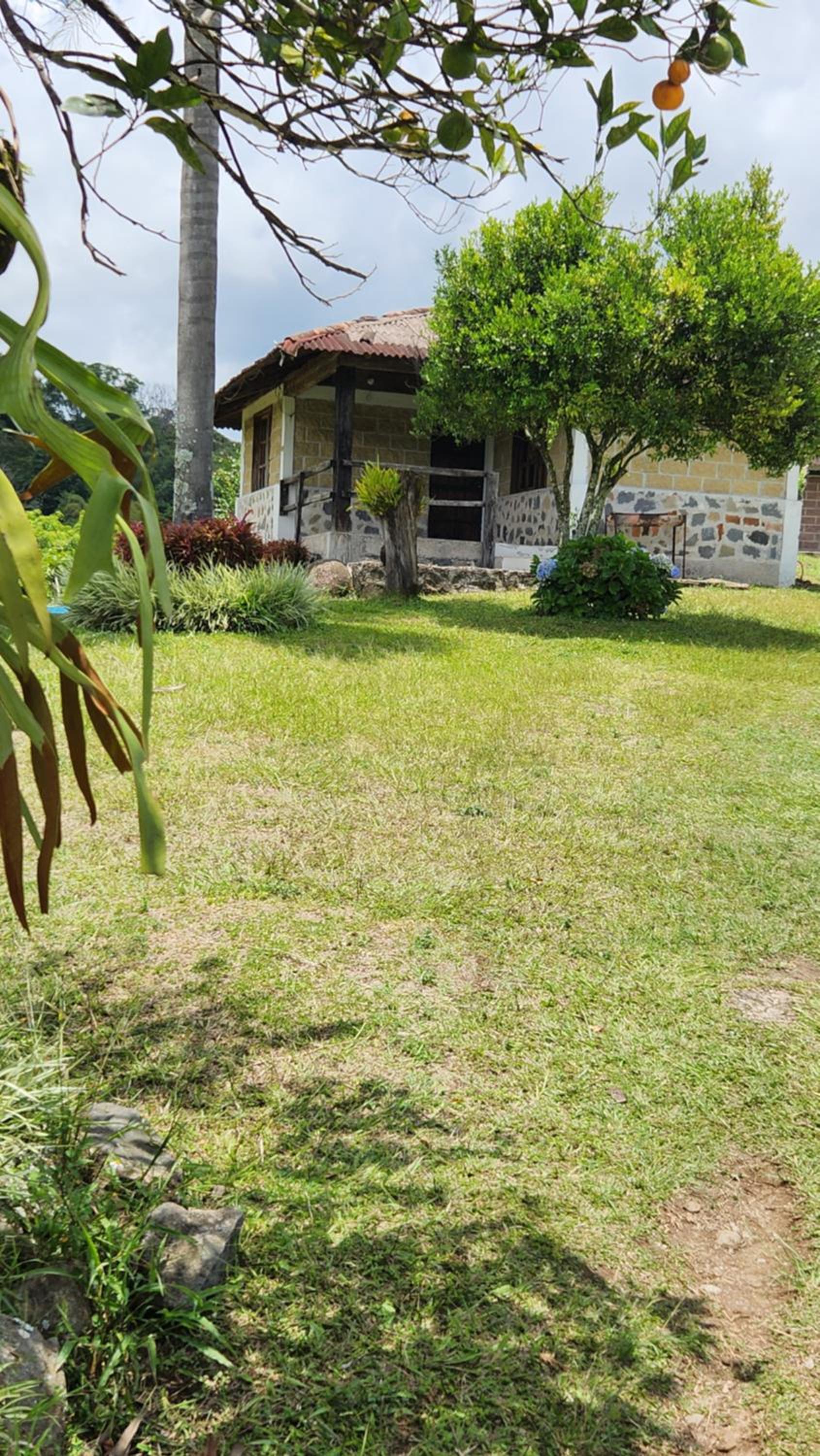 OYO Hotel Rincon De Texolo