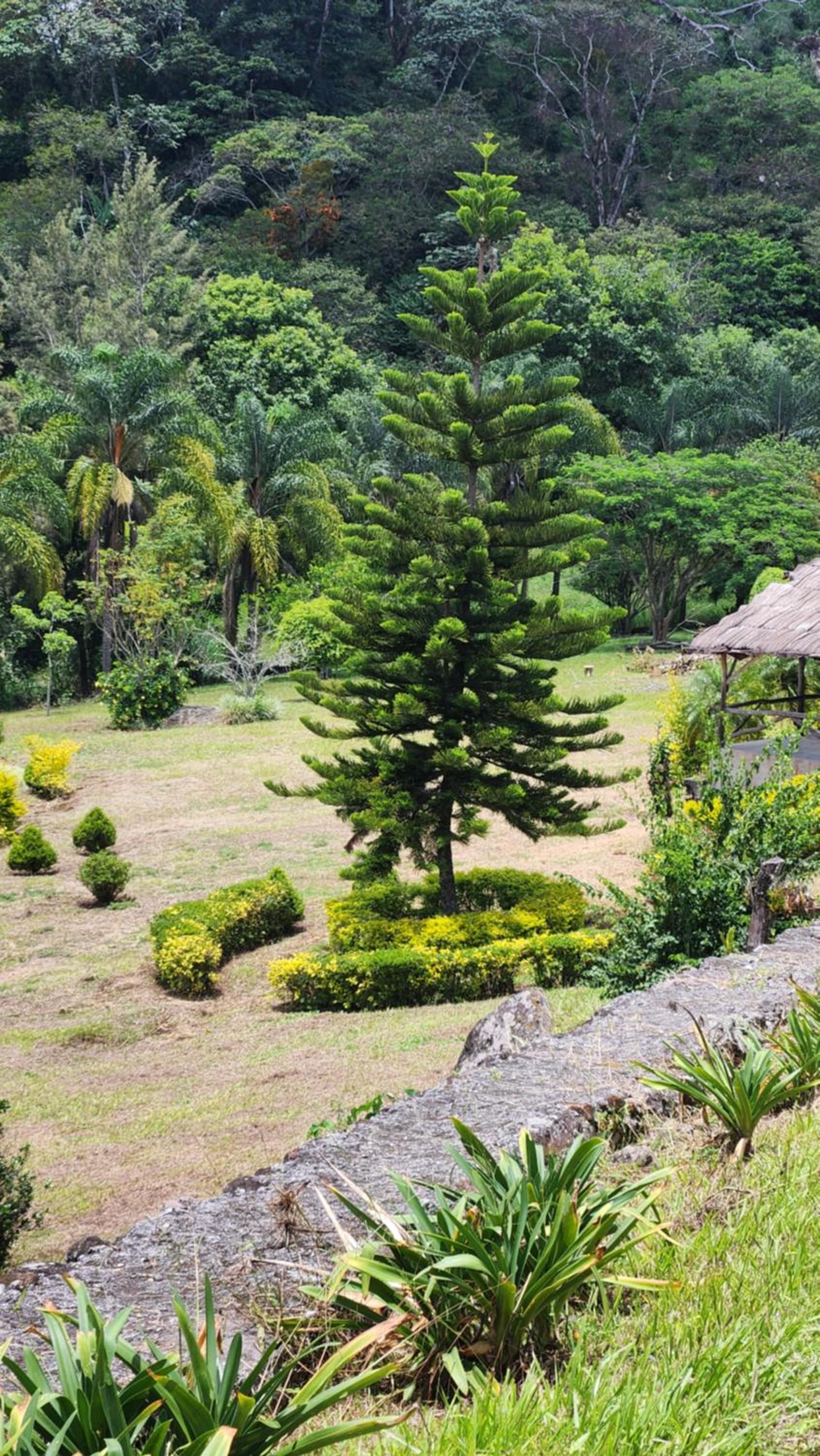 OYO Hotel Rincon De Texolo