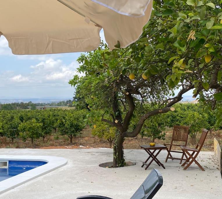 Casa Rural Huerto del Carmen