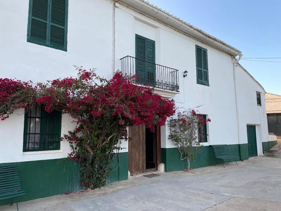 Casa Rural Huerto del Carmen