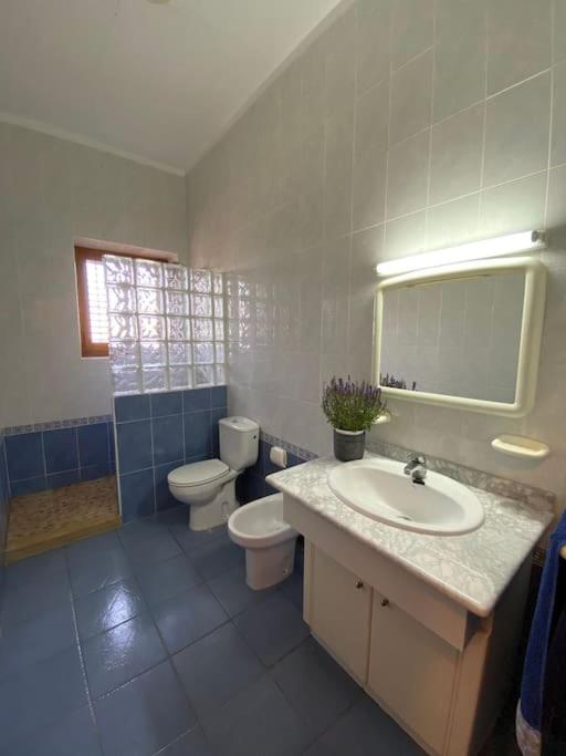 Casa Rural Huerto del Carmen