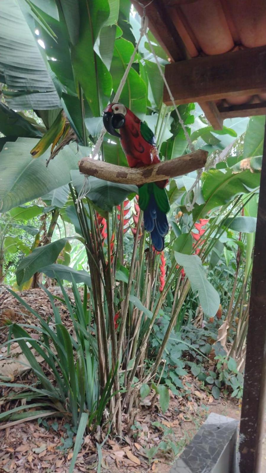 Casa de Madeira - Pacoti