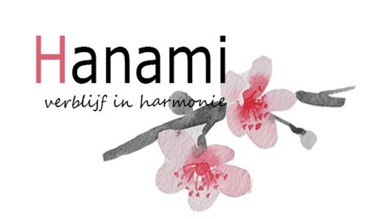Hanami - studio