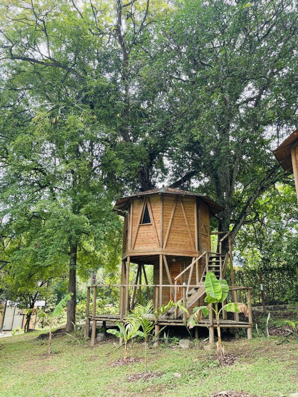 Glamping FULL con acceso a piscina
