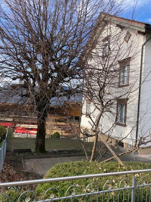 10 - Gästehaus Erika - Hundwil - Appenzellerland