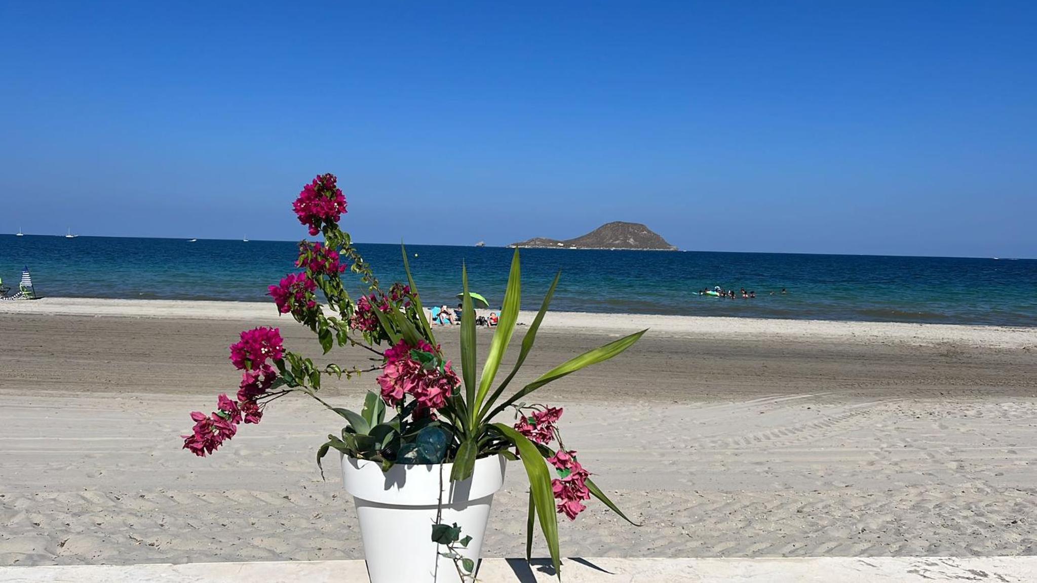 La playa en mi casa view 2