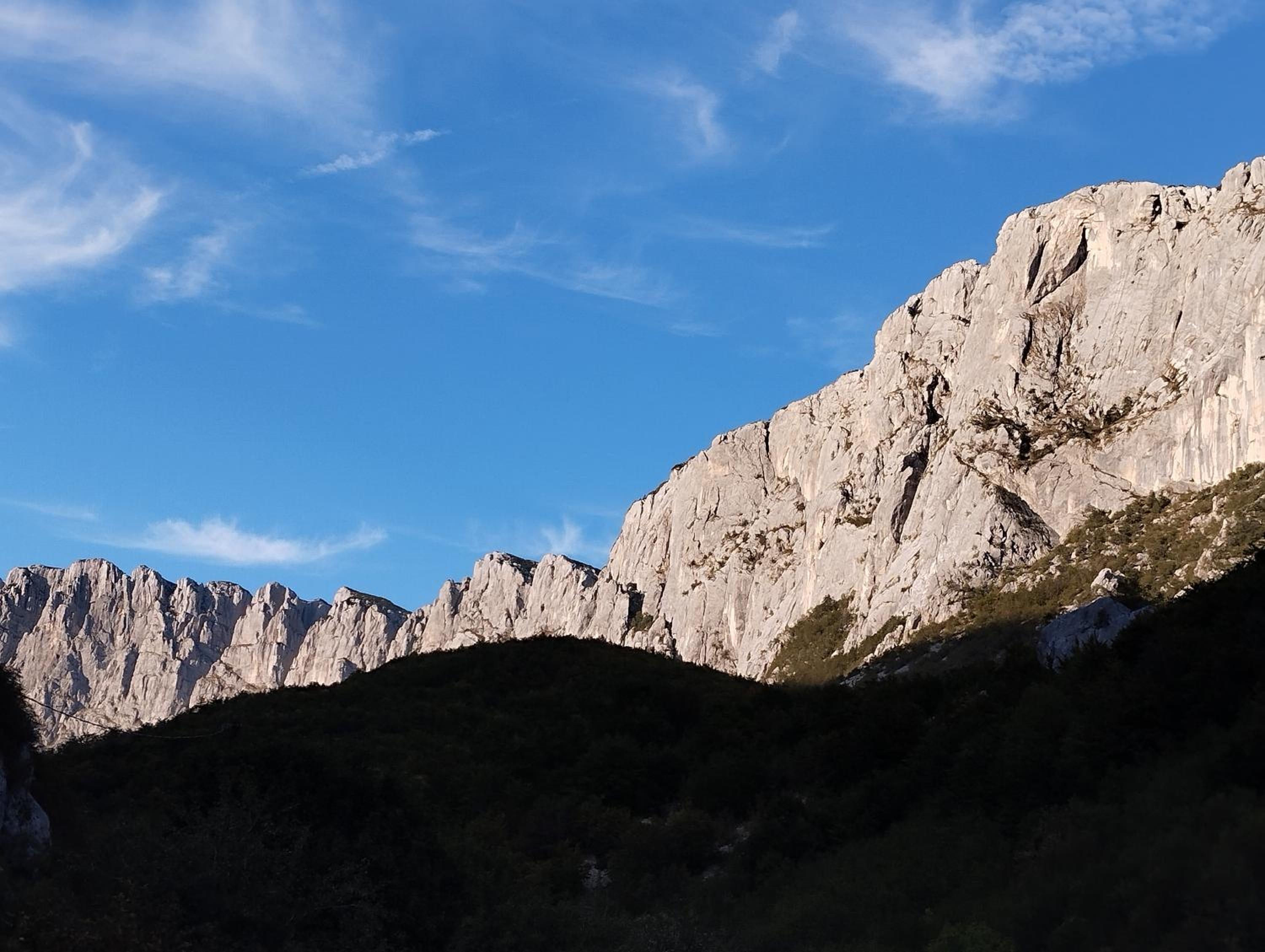 Vila Kraljica Planina photo 2