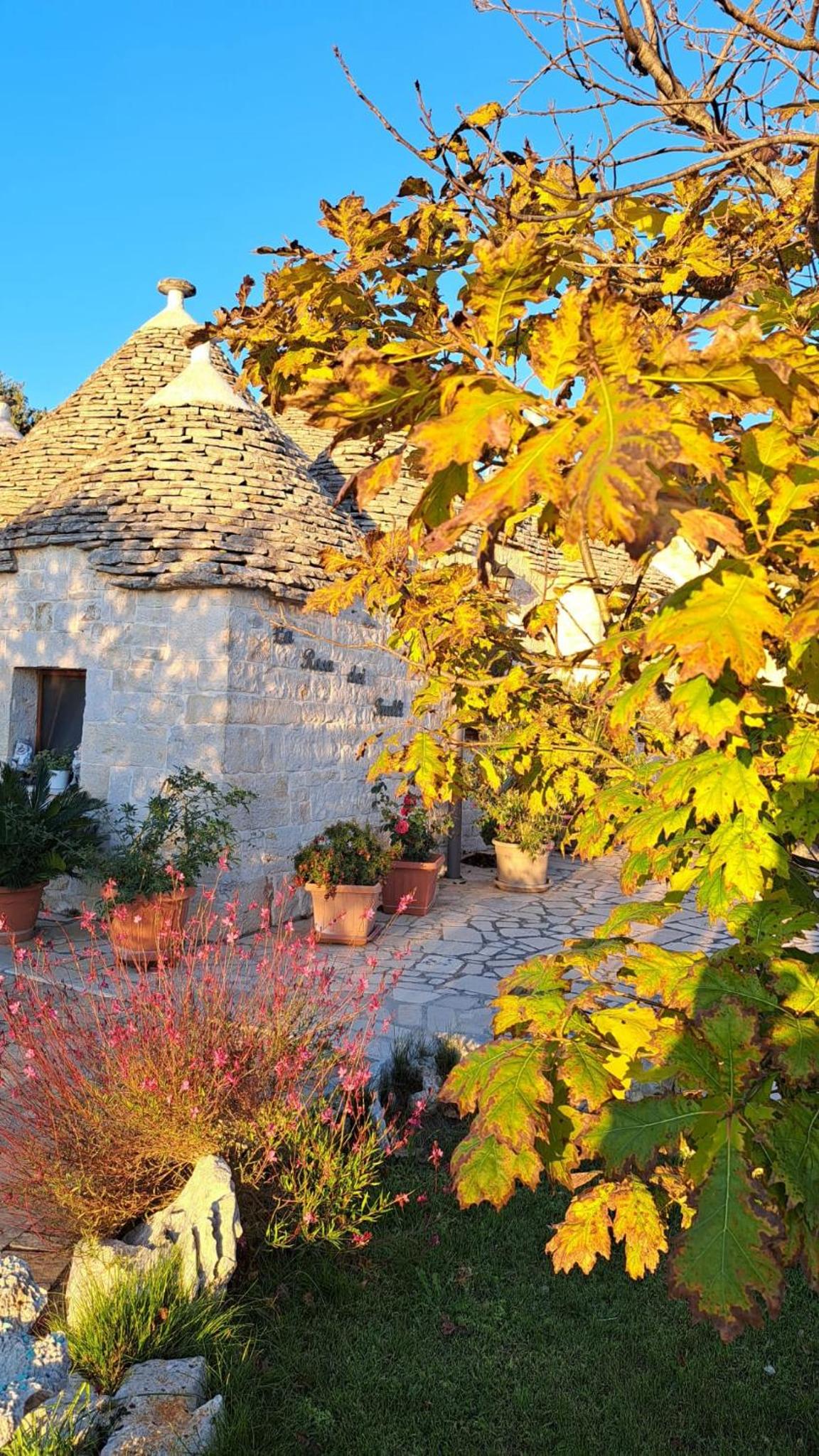 B&B La Rosa dei Trulli Alberobello