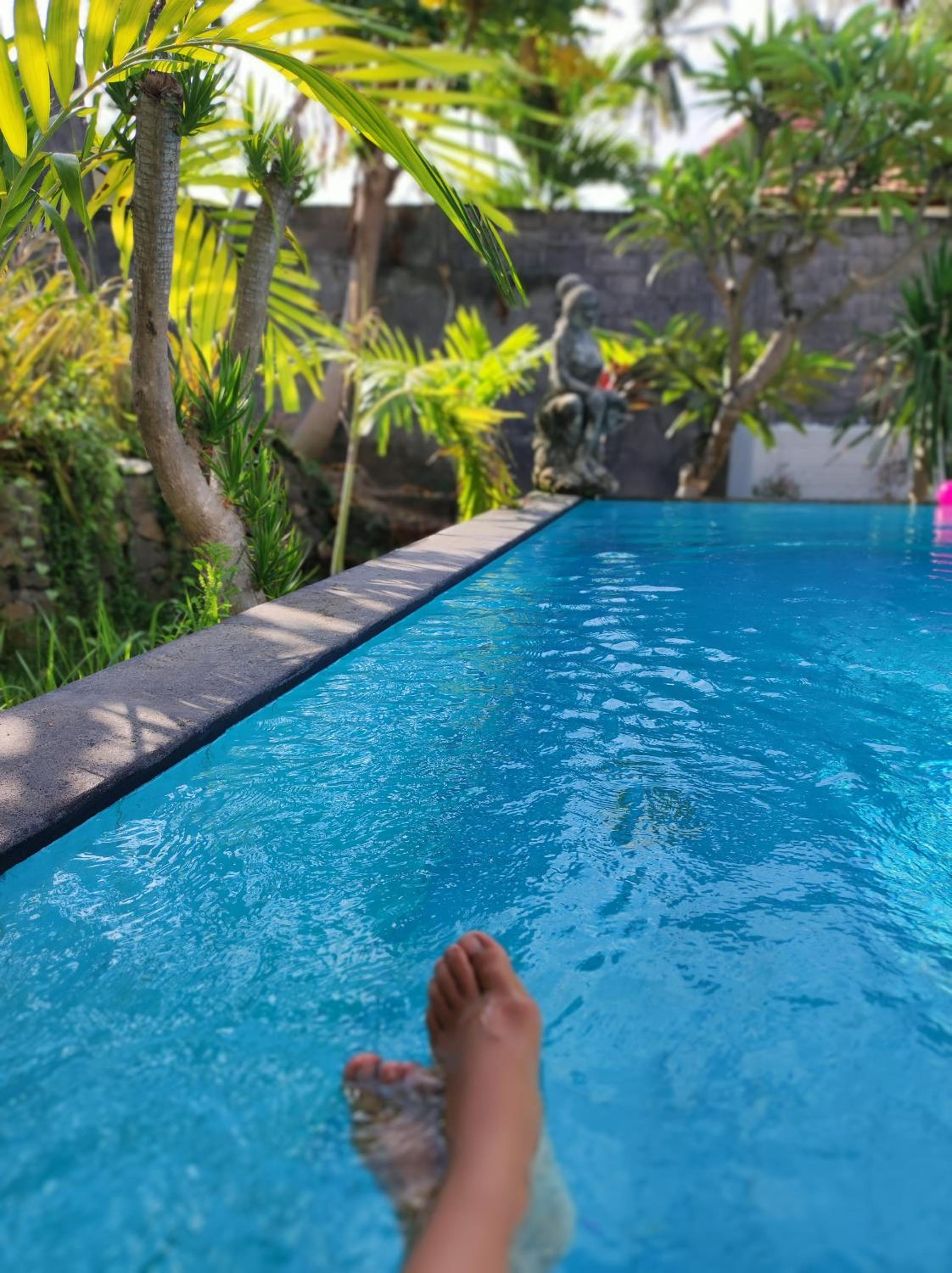 Lovina Villa Amadeus