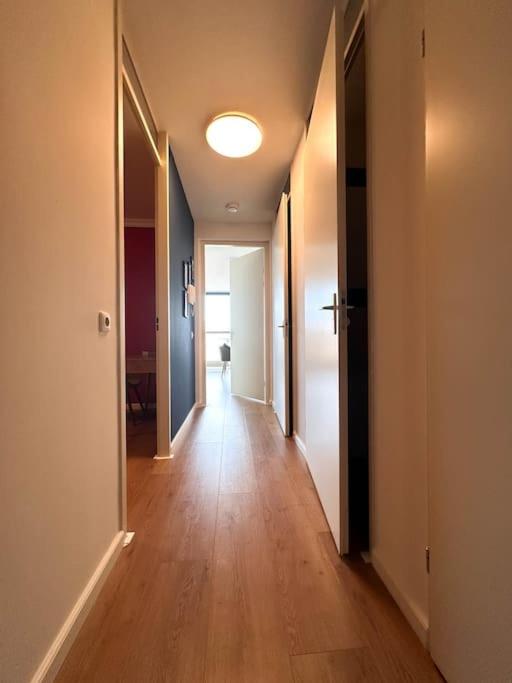 Spacious & Calm Atelier in BoLo