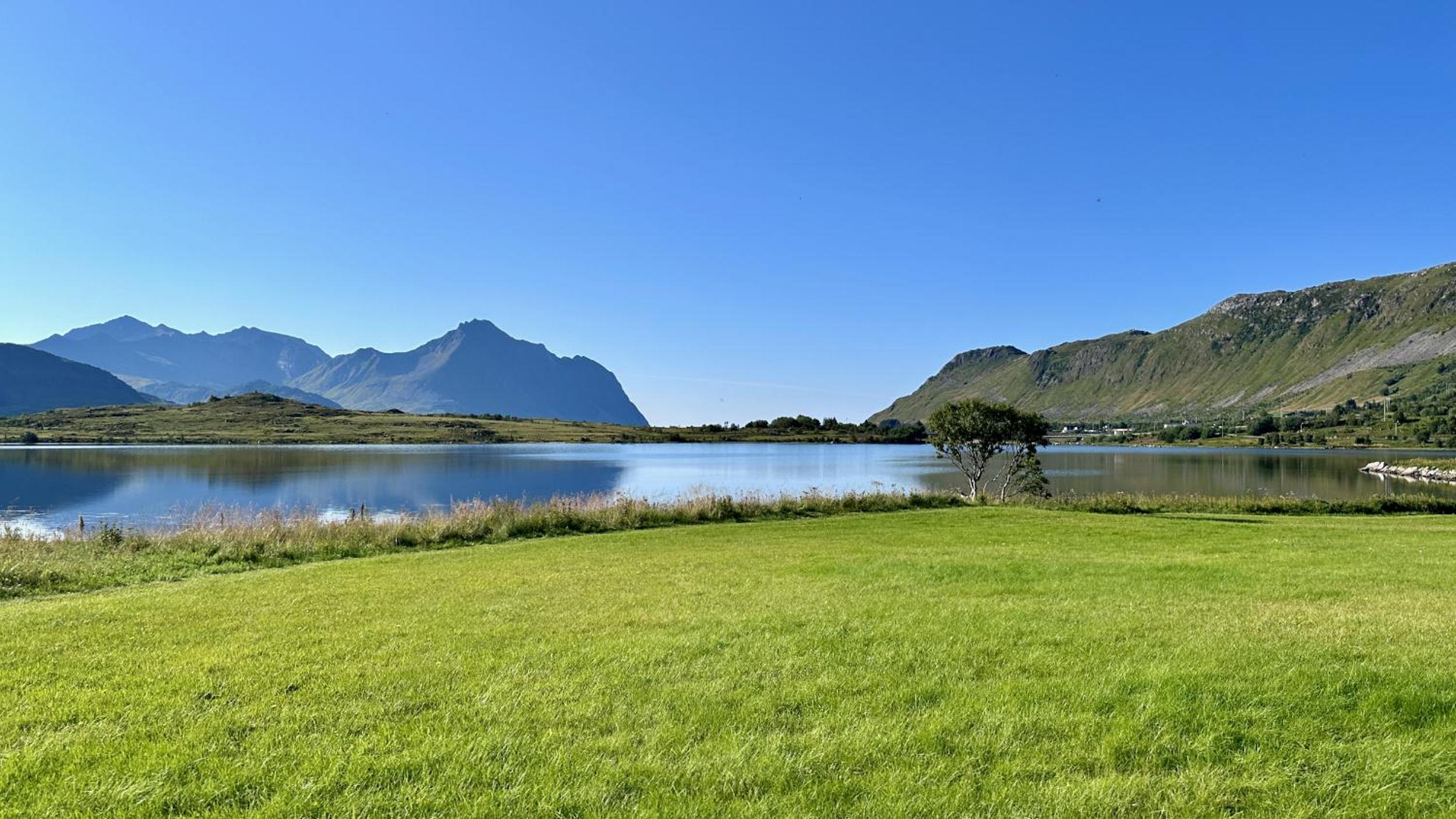 Lofoten Wildlife Panorama view 3