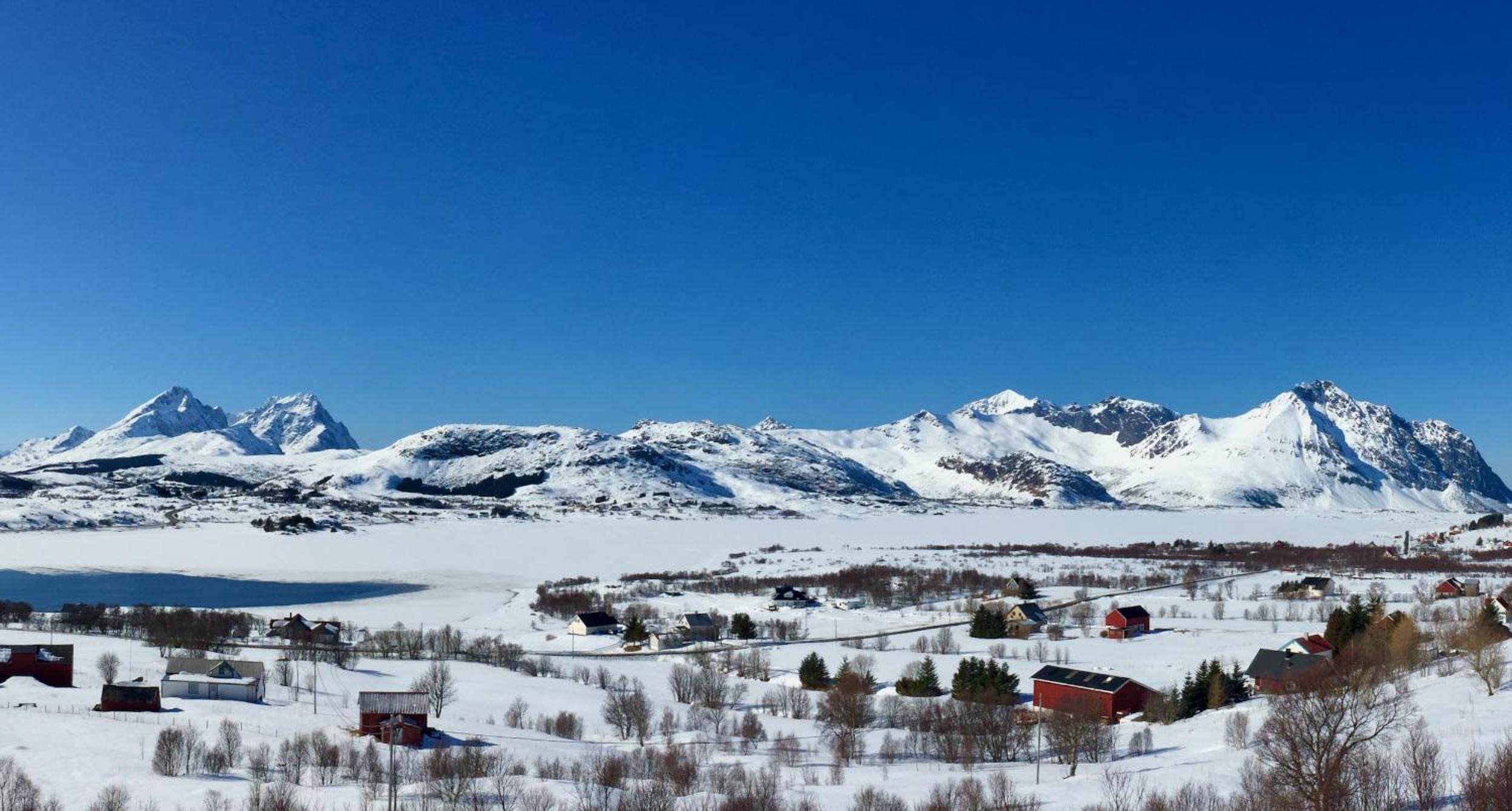 Lofoten Wildlife Panorama view 5