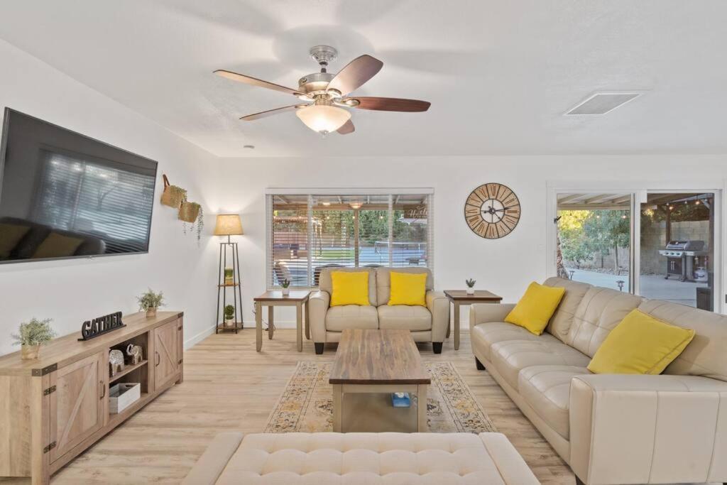 Backyard Paradise in Chandler